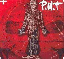 PMT : Acupuncture for the Soul